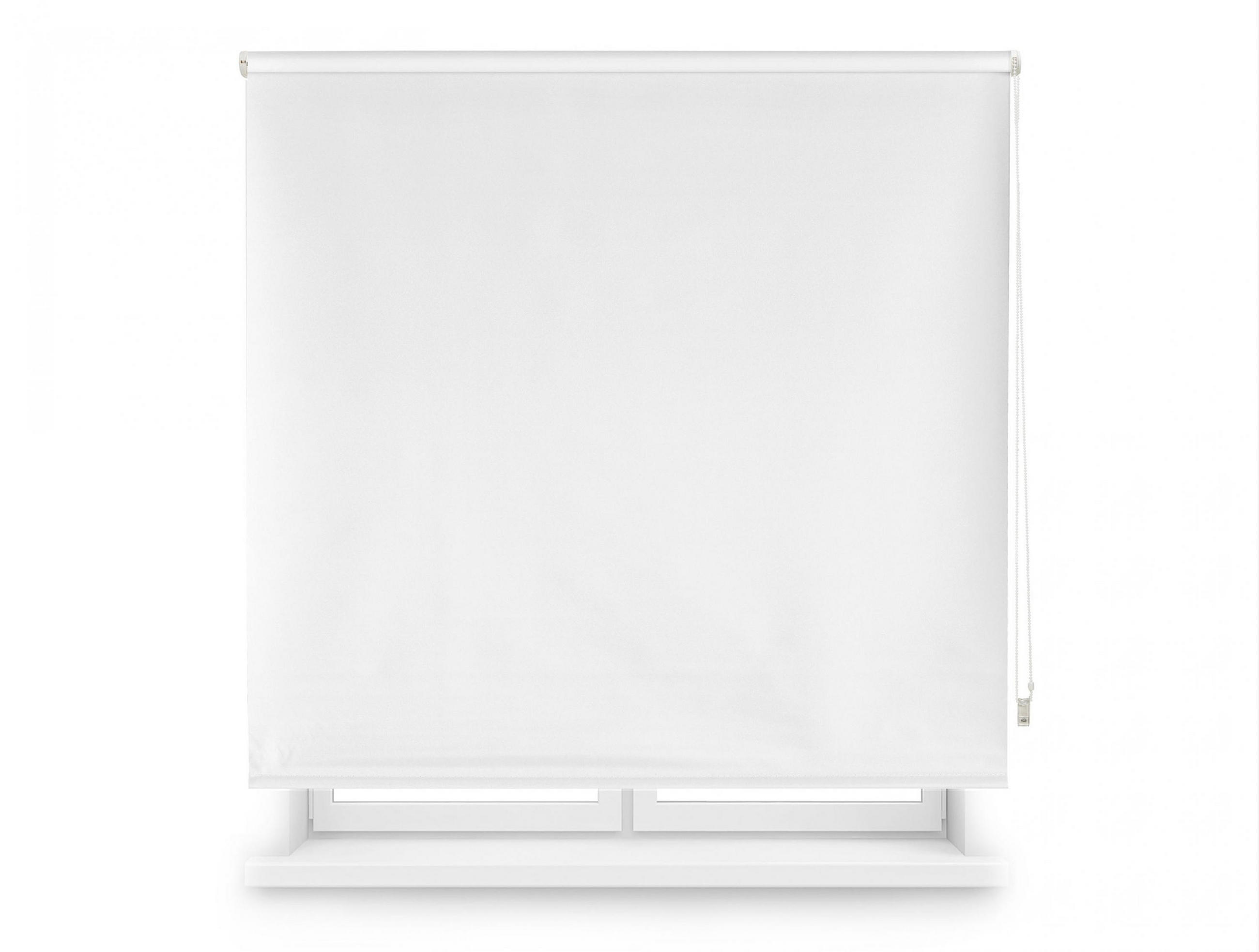 ROLLO Polyester Transluzent Weiß 160x250 - Weiß, Textil (160/250/1cm) - Purline