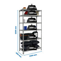 SCHWERLASTREGAL Giant Metal Shark HxBxT 250 x 120 x 40 cm Fachlast 200 kg Grau - Grau, Metall (120/250/40cm) - PROREGAL