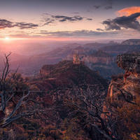 FOTOTAPETE Landschaft 450 x 280 cm - Beige, Papier (450/280cm) - Sanders & Sanders
