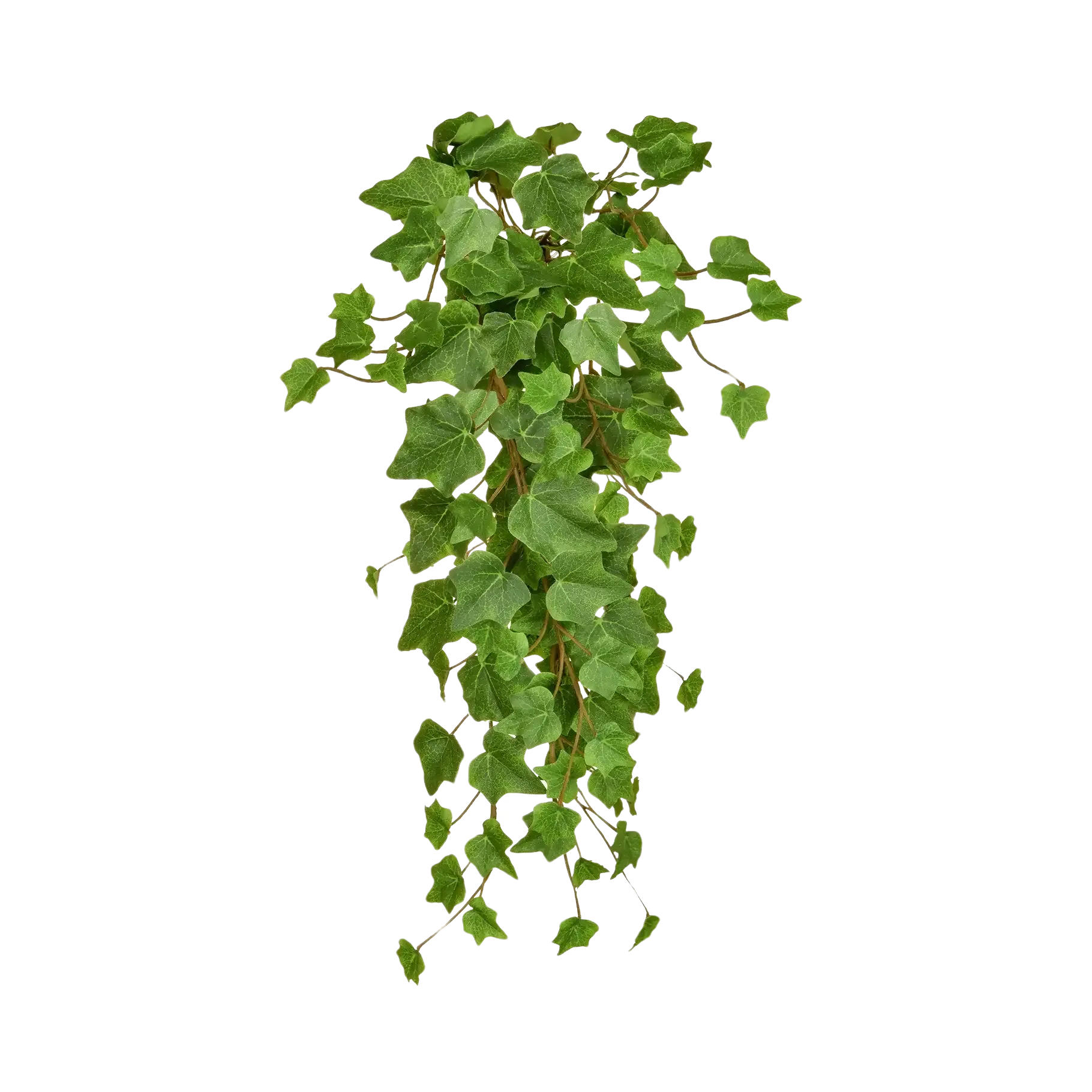 KUNSTPFLANZE Künstlicher Hänge-Efeu - Michael 55 cm - Grün, Kunststoff (55cm) - aplanta