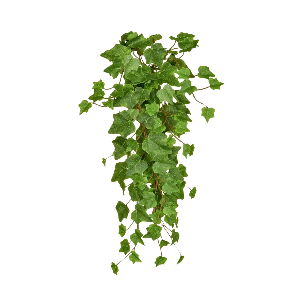 KUNSTPFLANZE Künstlicher Hänge-Efeu - Michael 55 cm - Grün, Kunststoff (55cm) - aplanta