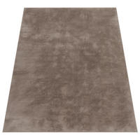 HOCHFLORTEPPICH 120/160 cm Soft 380 - Taupe, Kunststoff (120/160cm) - Paco Home