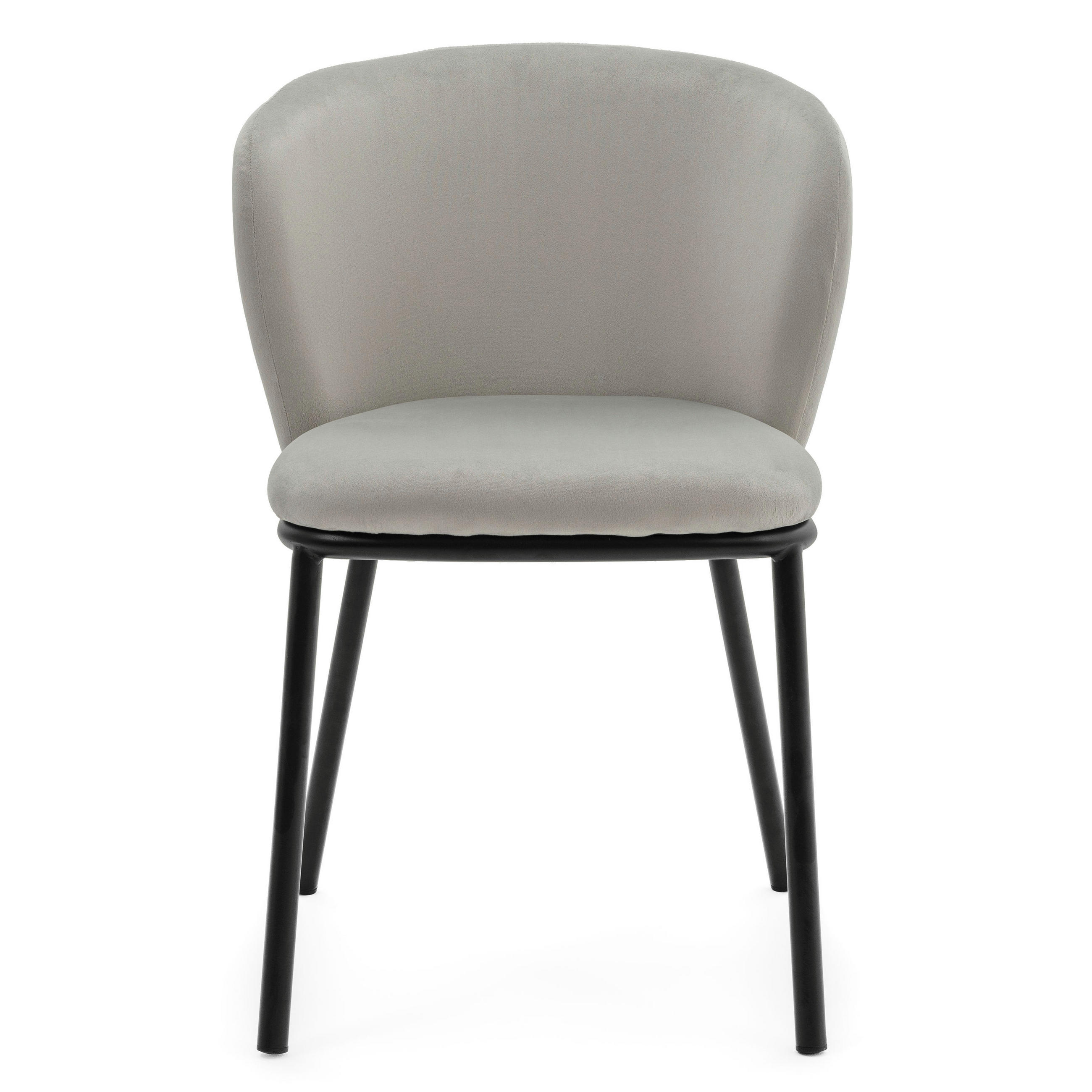 STUHL BARI gepolsterter mit Steppung - hellgrau - Samt Velour - Hellgrau/Schwarz, Textil/Metall (54/81/57cm) - NEW HOME