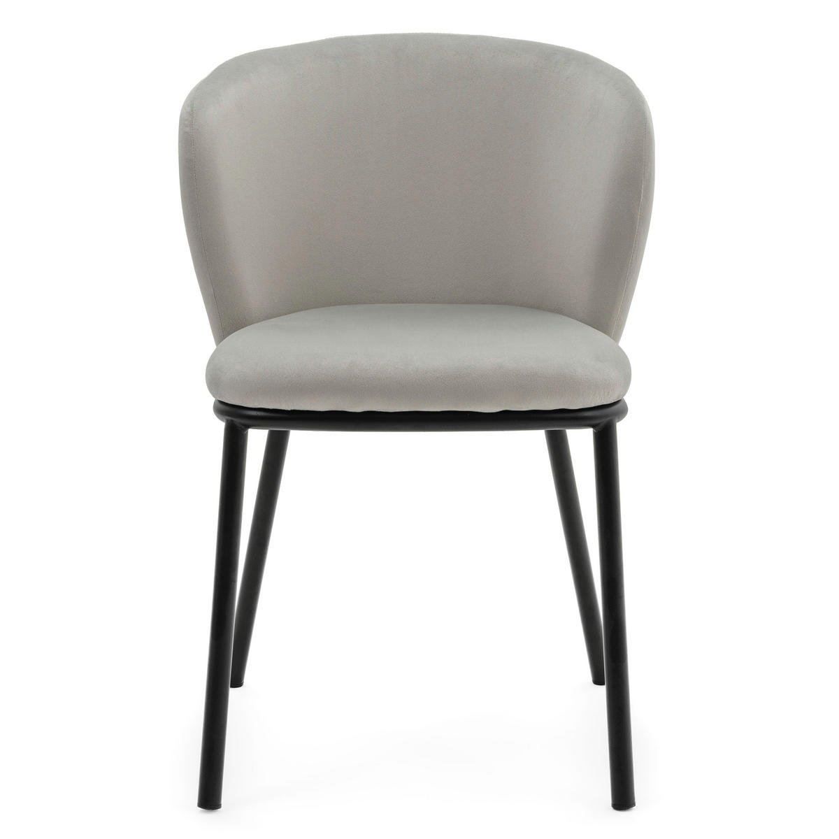 STUHL BARI gepolsterter mit Steppung - hellgrau - Samt Velour - Hellgrau/Schwarz, Textil/Metall (54/81/57cm) - NEW HOME