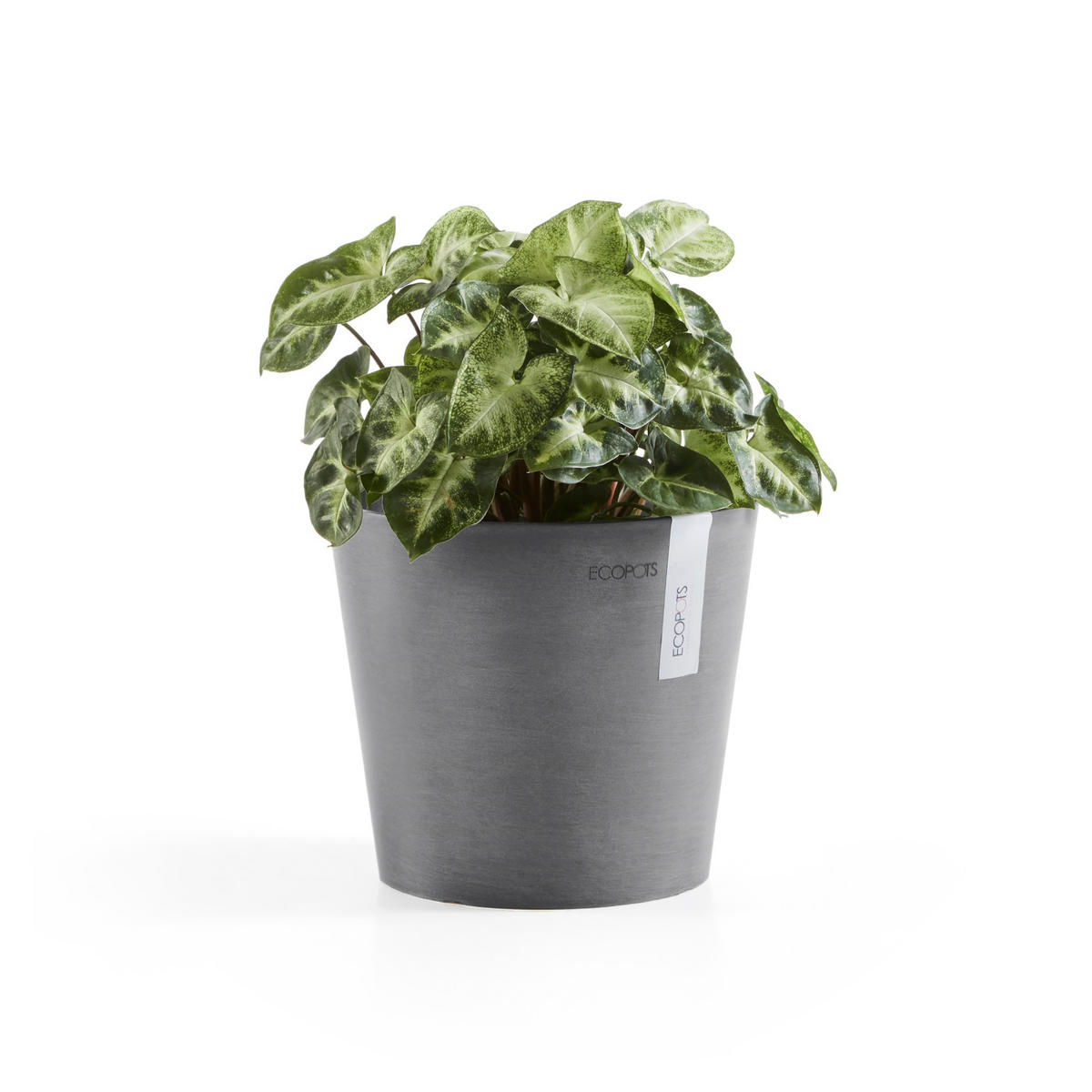 BLUMENTOPF Amsterdam 17/14,7 cm Grau - Grau, Kunststoff (17/14.7cm) - Ecopots