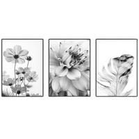 POSTER Set 3-teilig Schwarz-Weiß Schmetterling Blume 40x50cm - Multicolor, Papier (40/0.5cm) - LUXUSKOLLEKTION