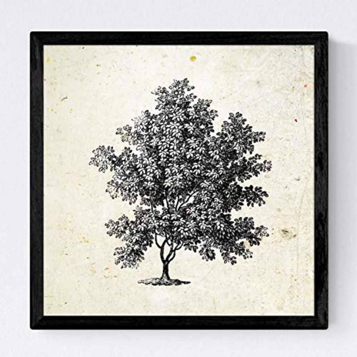 POSTER Set mit 4 Blättern der Bäume ohne und mit Blatt, 20x20cm Rahmenlos - Klar, Papier (20/3cm) - Nacnic