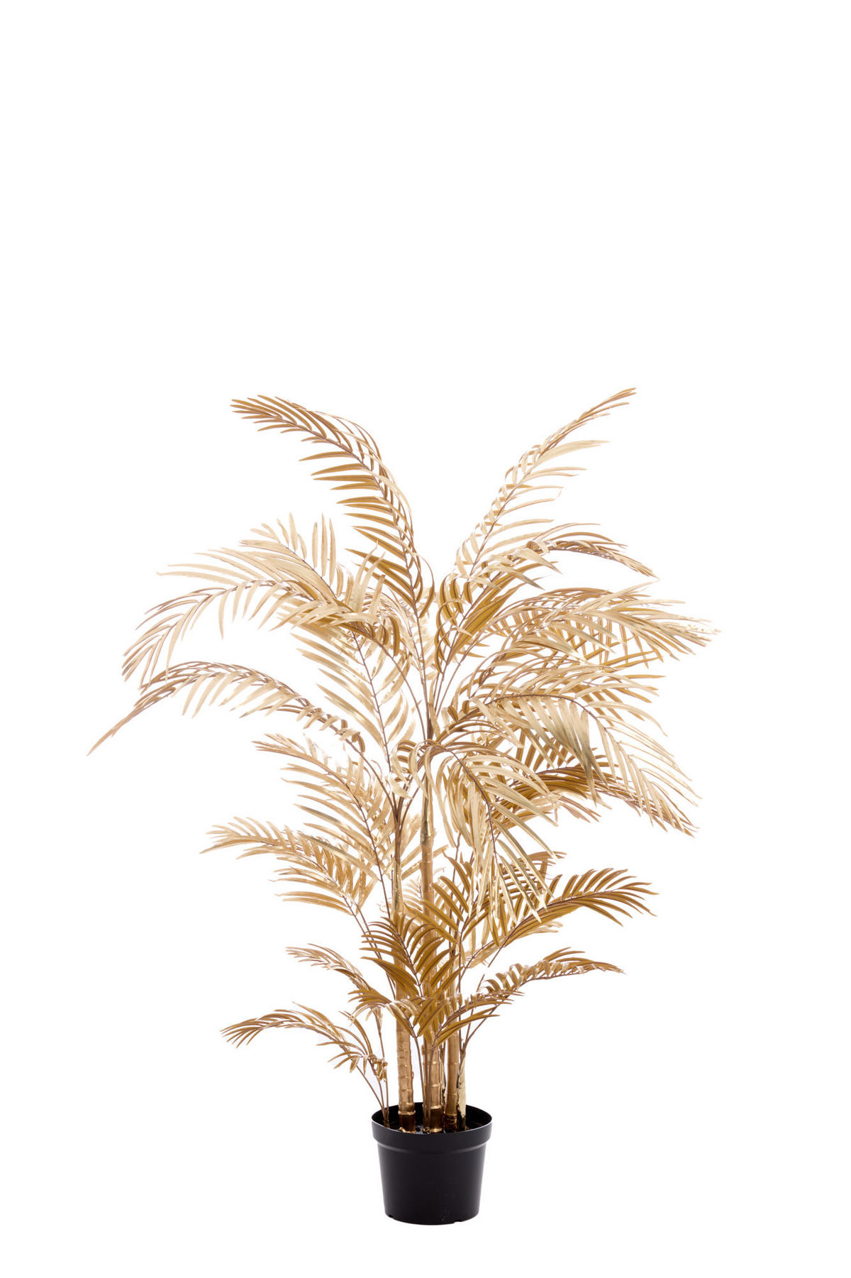 TOPFPALME Gold 145/135/135 cm - Goldfarben, Kunststoff (135cm) - Light & Living