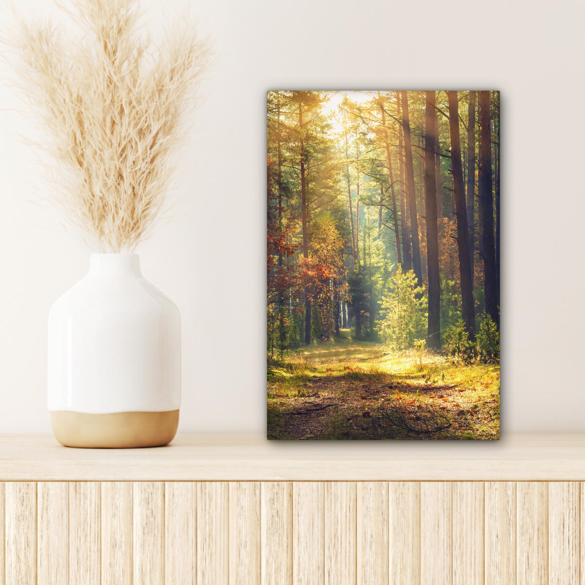 LEINWANDBILD Wald - Herbst - Bäume 20x30 cm - Dunkelgrün, Textil (20/30cm) - MuchoWow