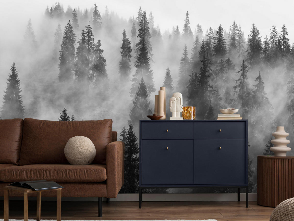 FOTOTAPETA Čierno-biely Les V Hmle Príroda 250 x 175 cm - čierna/sivá, papier (250/175cm) - Muralo