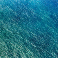 FOTOTAPETE Natur 400 x 250 cm - Blau, Papier (400/250cm) - Sanders & Sanders