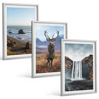 BILDER SET 3er Set - 40x60 cm Silberner Rahmen - Berglandschaften mit einem Wasserfall - Silberfarben, Kunststoff (40/60cm) - TULUP