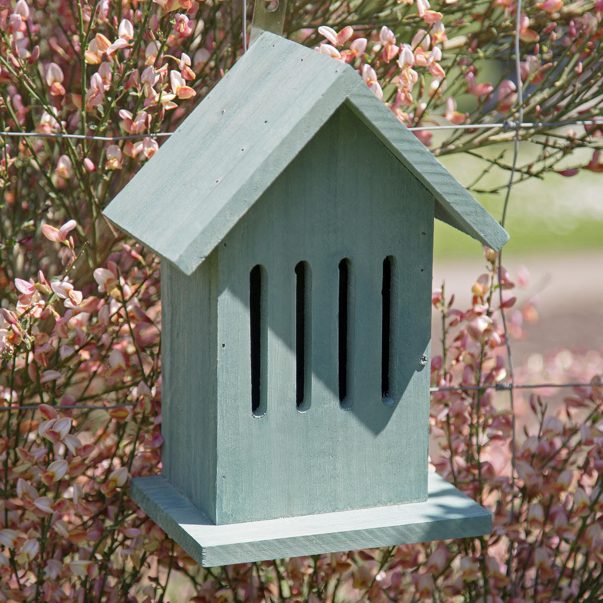 SCHMETTERLINGSHAUS - Türkis, Holz (18.5/25.5/12cm) - Relaxdays