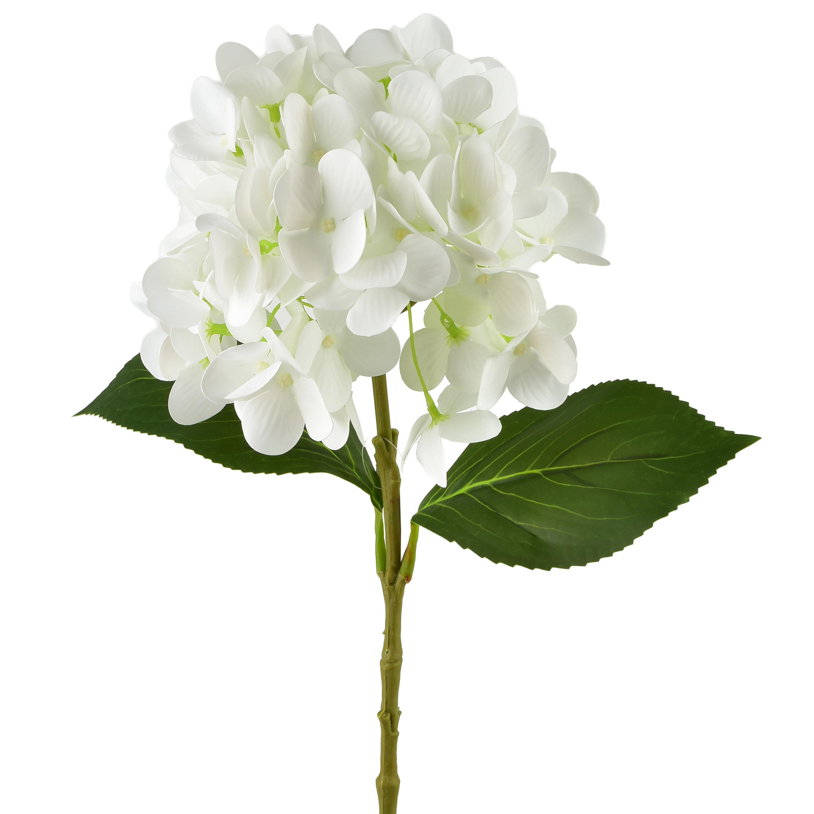 KUNSTBLUME HORTENSIE Viridis Weiß 60cm - Weiß, Kunststoff (60cm) - Mondex