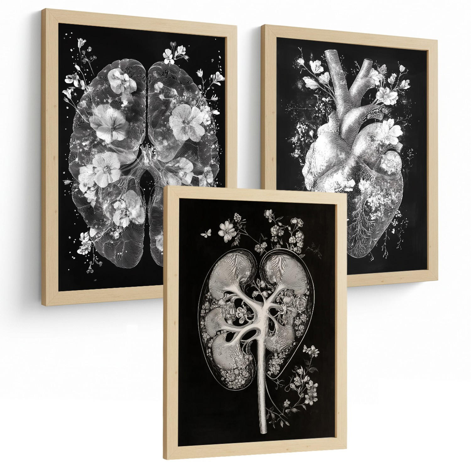 POSTER Set aus 3 Anatomie Drucke und Wandbilder mit Inneren Organen Gehirn Herz Nieren Minimalistisches Schwarz Weiß Design Größe Rahmenlos A3 - Klar, Papier (29.7/42/3cm) - Nacnic