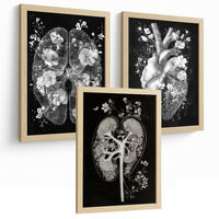 POSTER Set aus 3 Anatomie Drucke und Wandbilder mit Inneren Organen Gehirn Herz Nieren Minimalistisches Schwarz Weiß Design Größe Rahmenlos A3 - Klar, Papier (29.7/42/3cm) - Nacnic