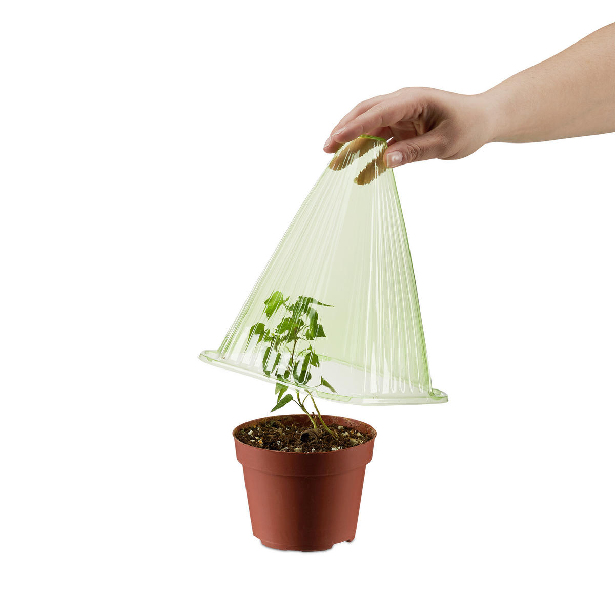 PFLANZENHUT Grün 80er-Set PVC - Grün, Kunststoff (19/22/19cm) - Relaxdays