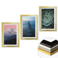 WANDBILDER 3er Set - 20x30 cm Goldrahmen - Berge, rosa Himmel, Wasser, Sukkulente - Goldfarben, Kunststoff (20/30cm) - ArtPrintCave