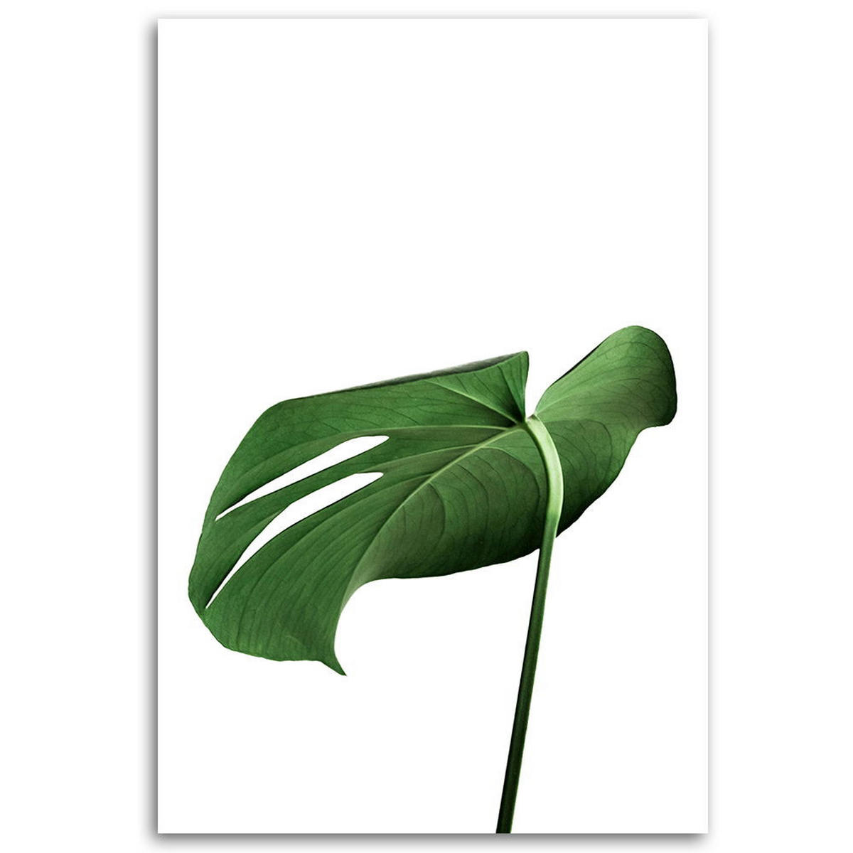 KUNSTDRUCK Grün 40/60 cm - Grün, Textil (40/60cm) - KUNSTLOFT