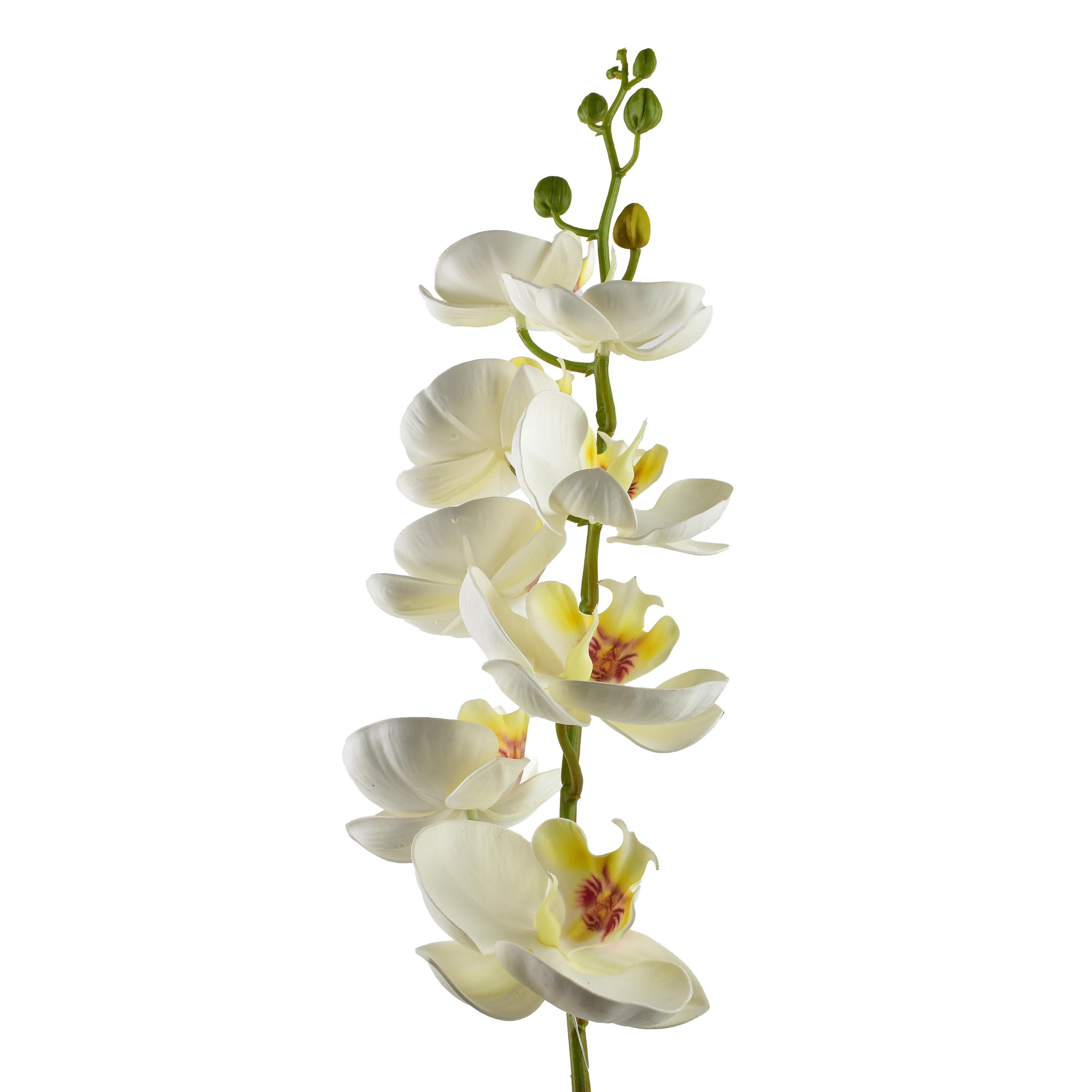 UMELÝ STORČEK Viridis 85 cm biely - biela, plast (85cm) - Mondex