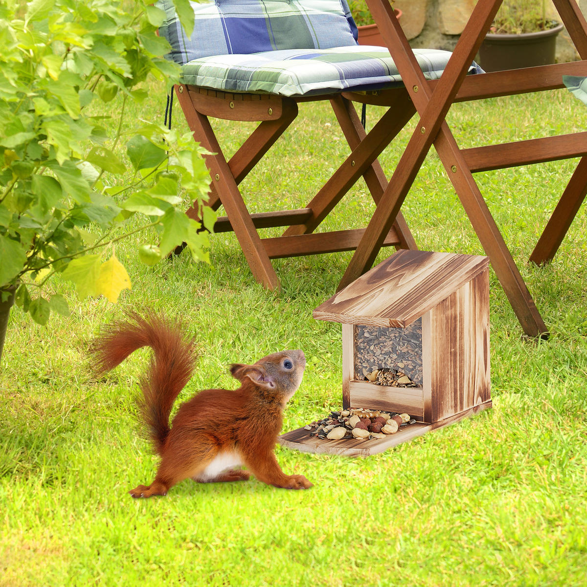 EICHHÖRNCHEN Futterhaus - Dunkelgrün, Holz/Kunststoff (12/17.5/25cm) - Relaxdays