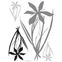 WANDTATTOO Blumen 85 x 65 cm - Grau, Papier (85/65/65cm) - Sanders & Sanders