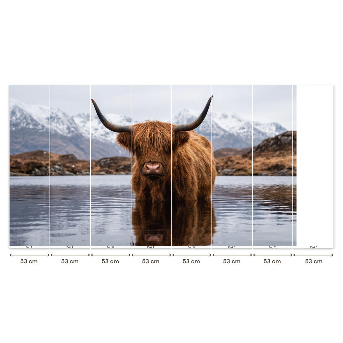 TAPETE - Schottischer Hochländer - Braun - Wasser - 350x200 cm - Braun, Papier (350/200cm) - OnlyWow