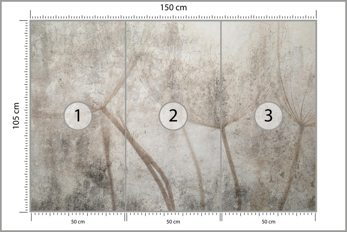 FOTOTAPETE für Wohnzimmer Zarter Skizze Löwenzahn Grauer Beton Minimalistisch 150x105 - Beige/Braun, Papier (150/105cm) - Muralo