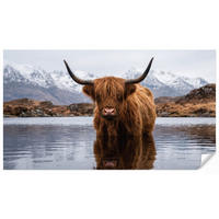 TAPETE - Schottischer Hochländer - Braun - Wasser - 450x240 cm - Braun, Papier (450/240cm) - OnlyWow