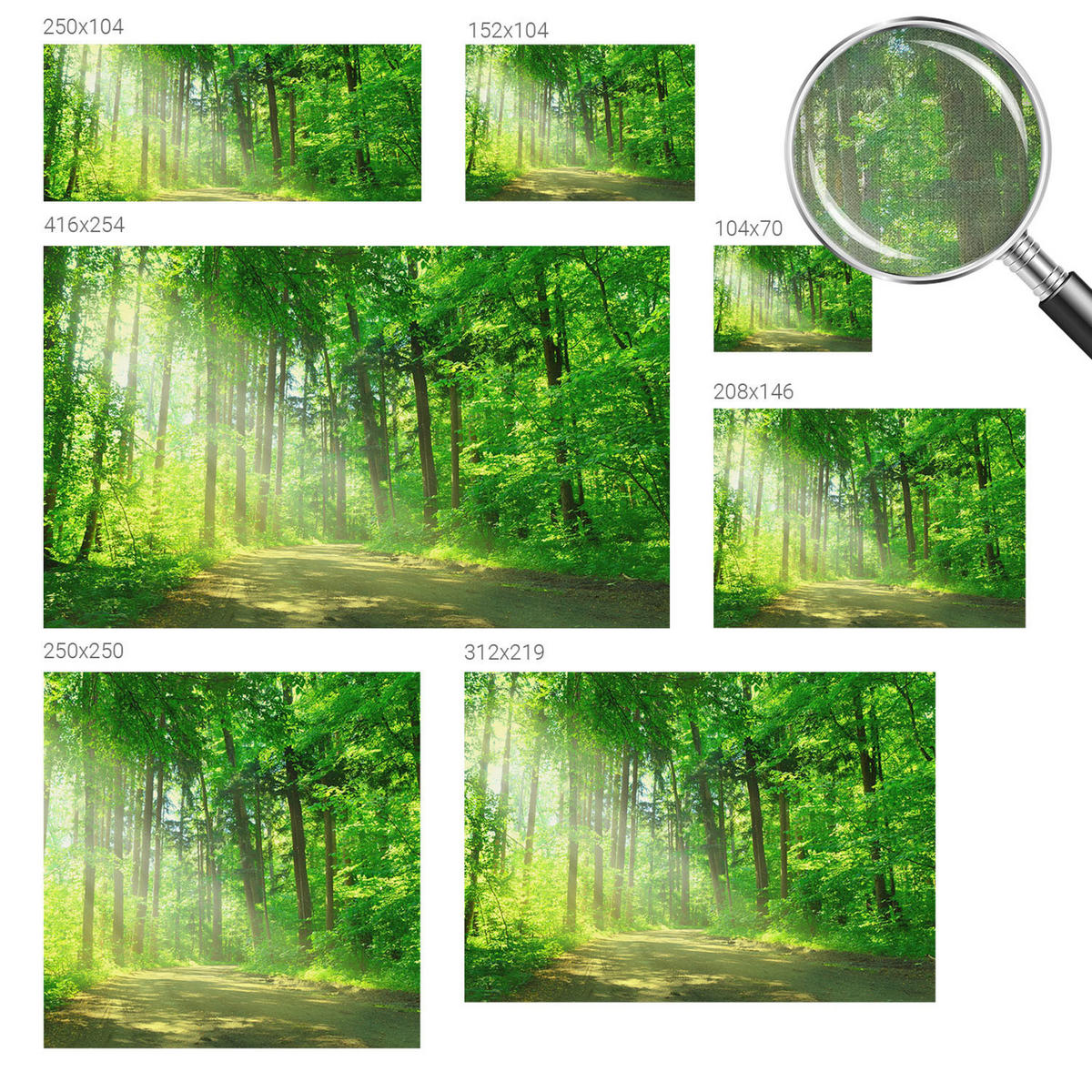 FOTOTAPETE 104x70 cm - Waldweg - Grün, Textil (104/70cm) - Wallfluent