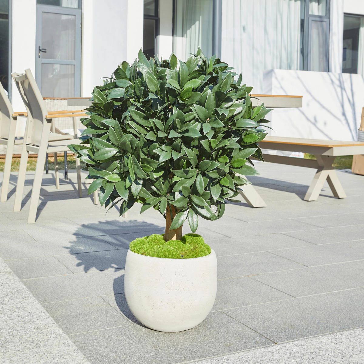 KUNSTBAUM Künstlicher Lorbeerbaum – Vaelis 75 cm - Grün, Kunststoff (75cm) - aplanta