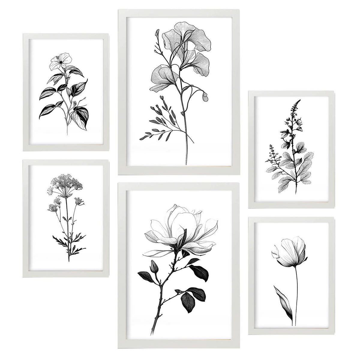 POSTER Set Mit 6 Üppige Blumen Natur Und Botanikdrucke Mit Blumenmotiven In Klassischem Schwarz Und Weiß Innenarchitektur A3 & A4 Weißer Rahmen - Weiß, Papier (29/3cm) - Nacnic
