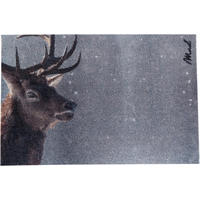 OUTDOOR FUßMATTE "Colt" mit Tiermotiv "Hirsch" Grau 50 x 75 cm - Braun/Grau, Kunststoff/Textil (50/75cm) - MAD ABOUT MATS