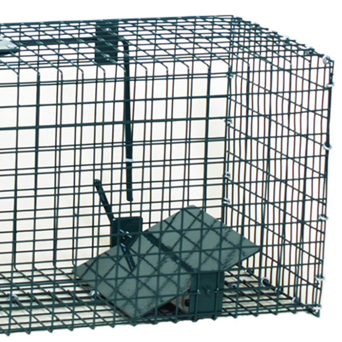 MOORLAND Safe 5001 – Lebendfalle 23 x 23 x 60 cm, grün, mit Handgriff - Grün, Holz (23/23/60cm) - Moorland
