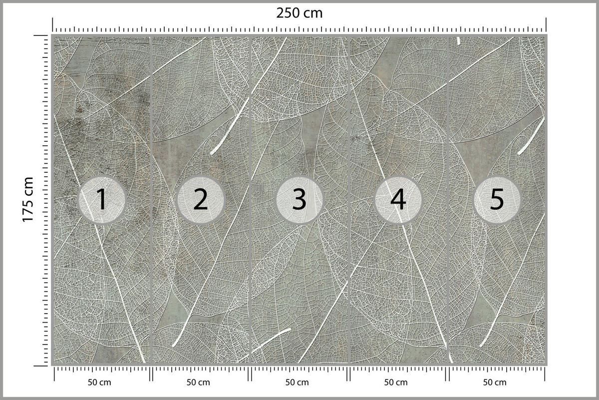 FOTOTAPETE für Wohnzimmer Weiße Blätter auf Beton Minimal 250x175 - Weiß/Grau, Papier (250/175cm) - Muralo
