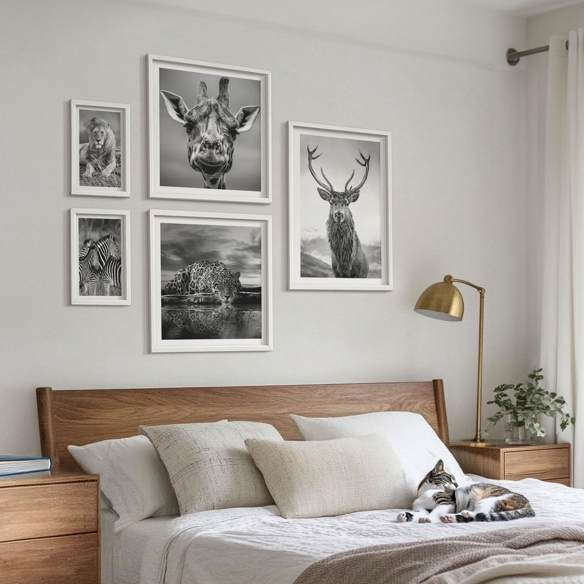 WANDBILDER 5er-Set - 50x50 cm & 20x30 cm & 40x60 cm Weißer Rahmen - Wildtiere Löwe Jaguar Giraffe Zebras - Weiß, Kunststoff (40/60cm) - ArtPrintCave