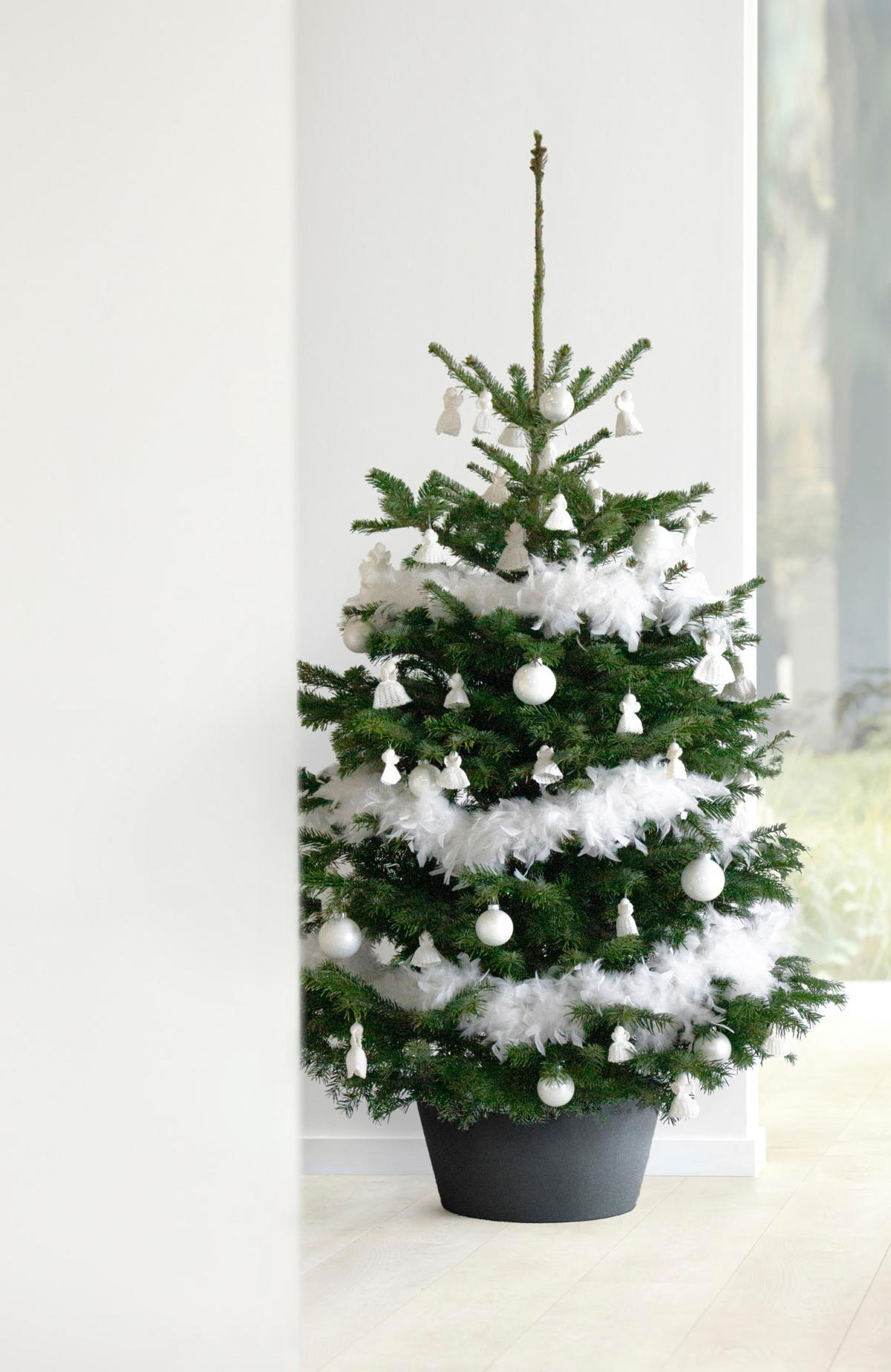 PFLANZENSTÄNDER 53/24 cm Dunkelgrau - Dunkelgrau, Kunststoff (53/24cm) - Ecopots