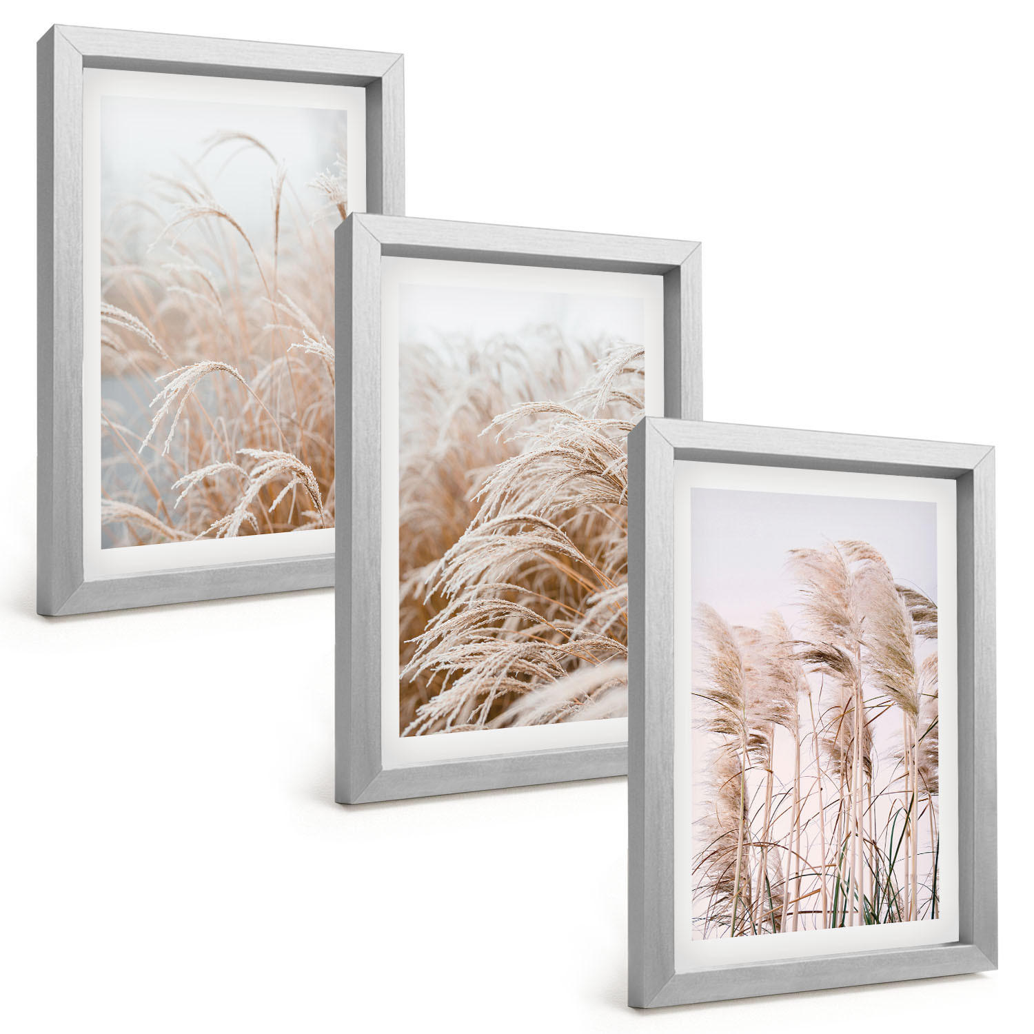 BILDER SET 3er Set - 20x30 cm Silberner Rahmen - Grasflächen in Braun- und Beigetönen - Silberfarben, Kunststoff (20/30cm) - TULUP
