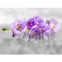 FOTOTAPETE Blumen 375 x 270 cm - Lila, Papier (375/270cm) - Sanders & Sanders