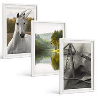 BILDER SET 3er Set - 40x60 cm Weißer Rahmen - Natur des Flusses White Horses - Weiß, Kunststoff (40/60cm) - TULUP