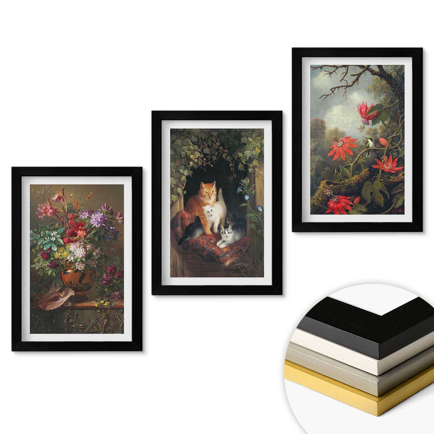 WANDBILDER 3er-Set - 20x30 cm Schwarzer Rahmen - Vintage-Blumen, Katzen, Natur - Schwarz, Kunststoff (20/30cm) - ArtPrintCave