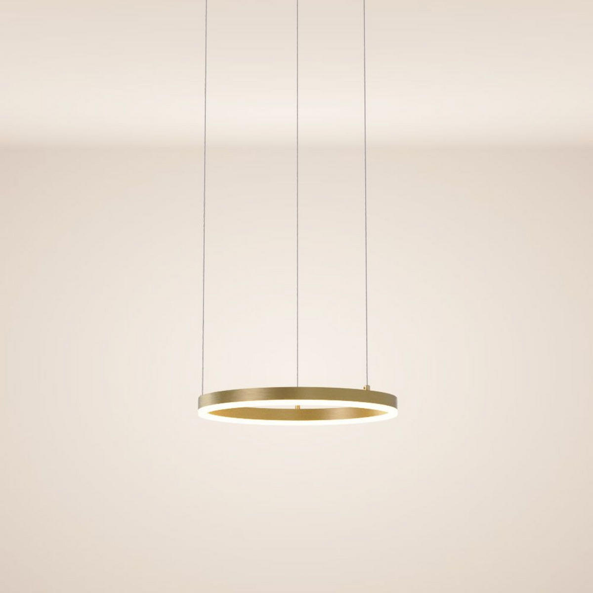 LED-HÄNGELAMPE 5m Abhängung Direkt Ring Gold - Goldfarben, Metall (40/40/3.3cm) - s.luce