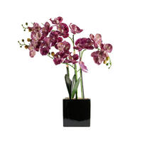 KUNSTPFLANZE Florettis - Violett, Keramik (65cm) - home&you