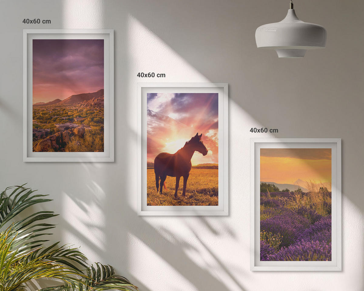 WANDBILDER 3er-Set - 40x60 cm Weißer Rahmen - Berglandschaft mit einem Pferd - Weiß, Kunststoff (40/60cm) - ArtPrintCave