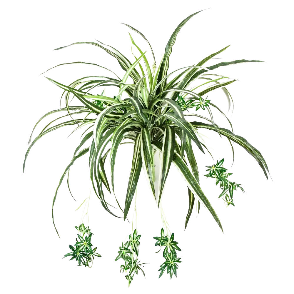 KÜNSTLICHE Grünlilie - Lili 60 cm - Grün, Kunststoff (60cm) - aplanta