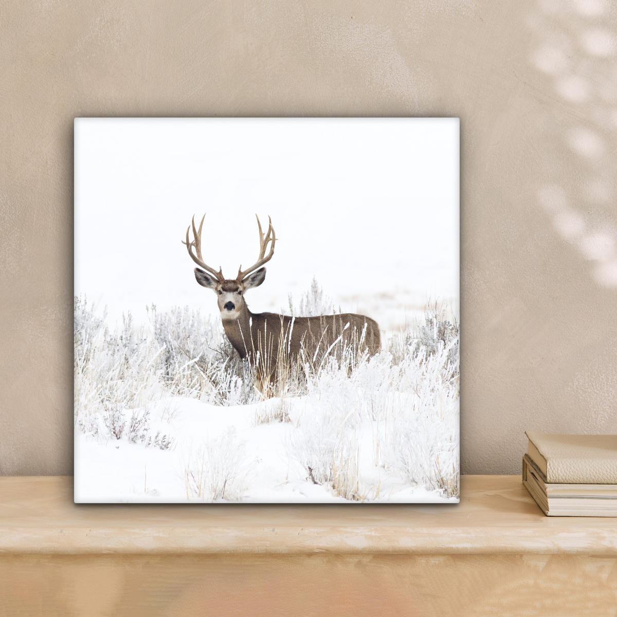 LEINWANDBILD Hirsche - Winter - Schnee - Tiere - Jahreszeiten - Weiß 20x20 cm - Hellbraun, Textil (20/20cm) - MuchoWow