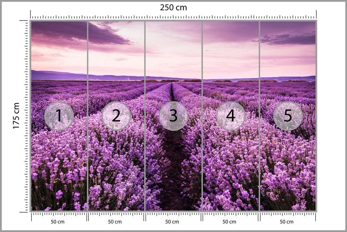 FOTOTAPETE für Schlafzimmer Lila Lavendel Wiese Harmonisch Romantisch 250x175 - Violett/Lila, Papier (250/175cm) - Muralo