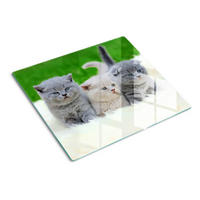 GLASPLATTE 60x52 cm Drei Katzen Decke - Limette, Glas (60/52cm) - TULUP