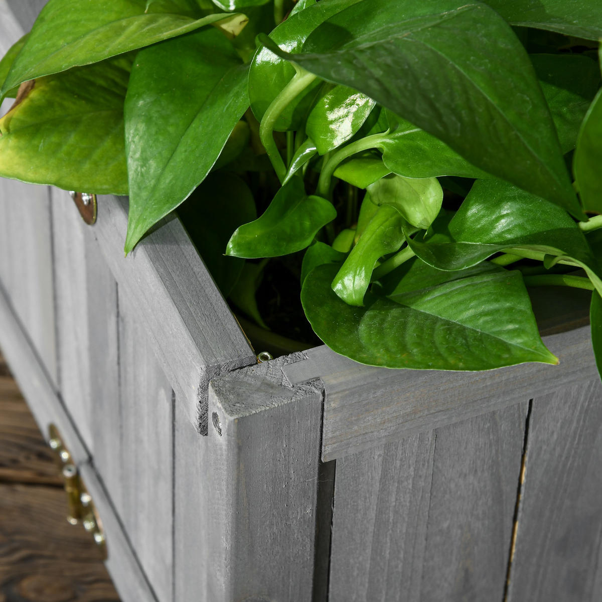 HOCHBEET DE-12285 klappbar, 70/30/25 cm Grau - Grau, Holz (70/25/30cm) - ComfortXL