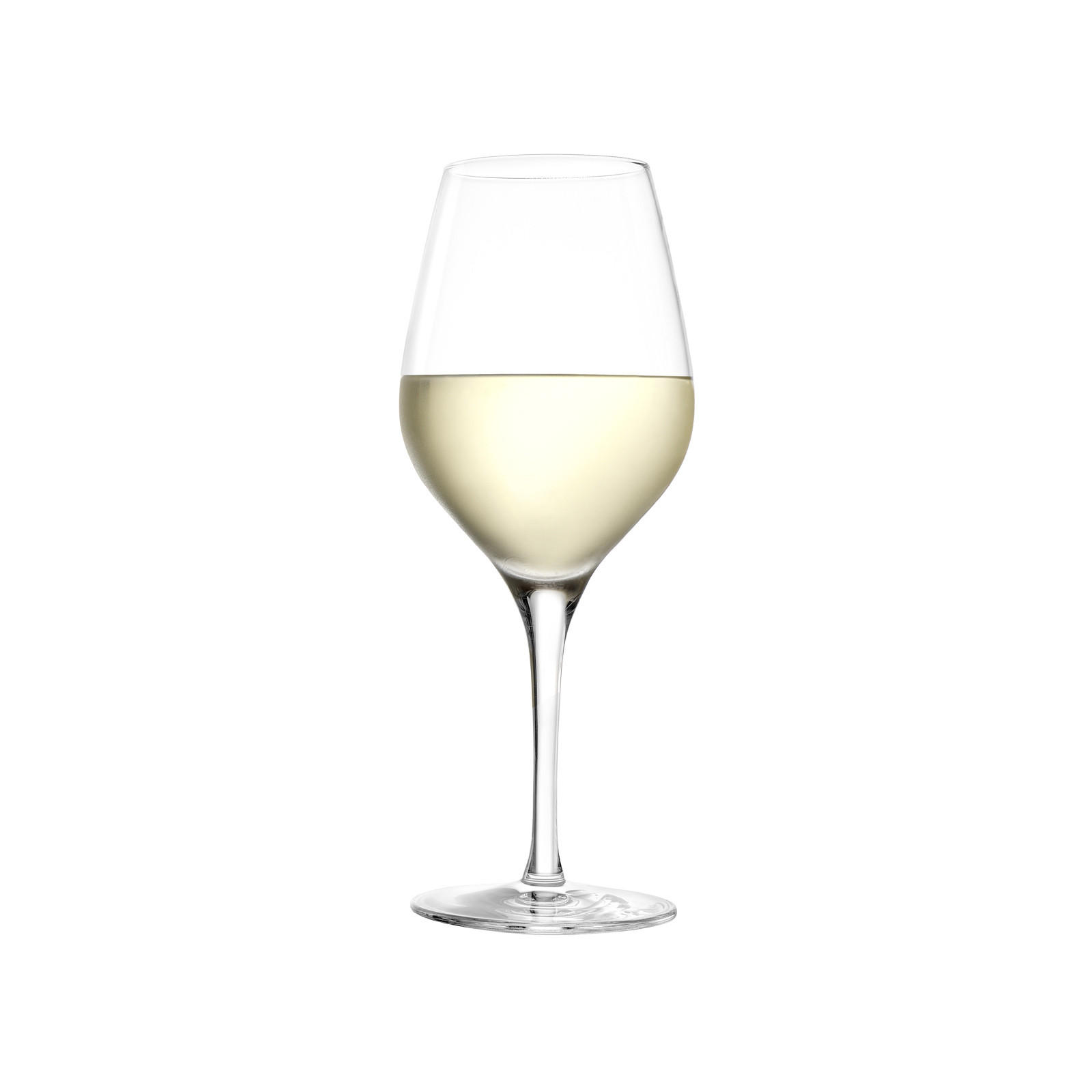 WEIN- UND SEKTGLÄSER Exquisit transparent 18er Set - Transparent, Glas - Stölzle Lausitz